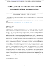 Vignette du fichier