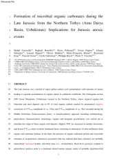 Vignette du fichier