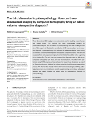 Vignette du fichier
