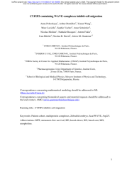 Vignette du fichier