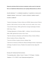 Vignette du fichier