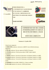 Vignette du fichier