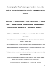 Vignette du fichier