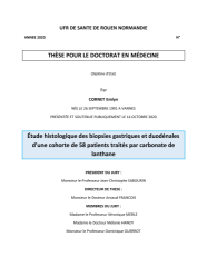 Vignette du fichier