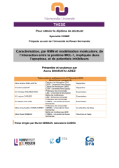 Vignette du fichier