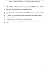 Vignette du fichier