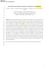 Vignette du fichier