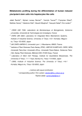 Vignette du fichier