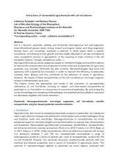 Vignette du fichier