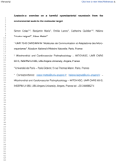 Vignette du fichier