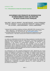 Vignette du fichier
