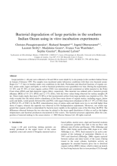 Vignette du fichier