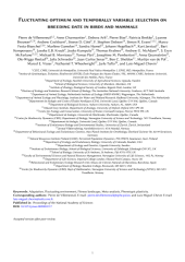 Vignette du fichier
