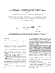 Vignette du fichier