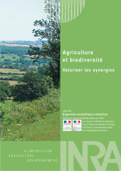 Vignette du fichier