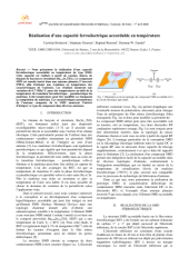 Vignette du fichier