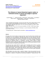 Vignette du fichier