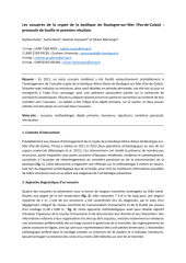 Vignette du fichier