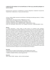 Vignette du fichier