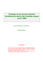 Vignette du fichier