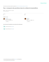 Vignette du fichier