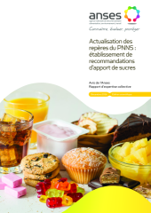 Vignette du fichier