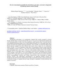 Vignette du fichier