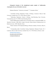 Vignette du fichier