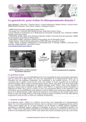 Vignette du fichier