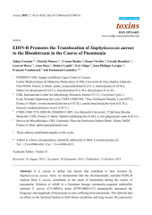 Vignette du fichier