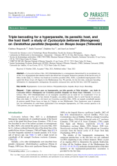 Vignette du fichier