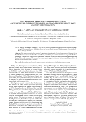 Vignette du fichier