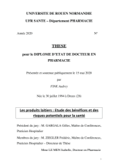 Vignette du fichier
