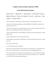 Vignette du fichier