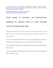 Vignette du fichier