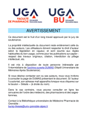 Vignette du fichier