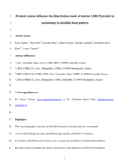 Vignette du fichier