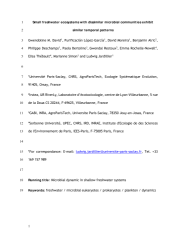 Vignette du fichier