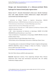 Vignette du fichier