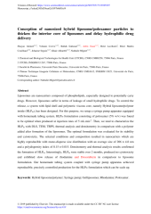Vignette du fichier