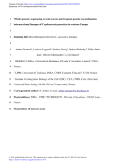 Vignette du fichier