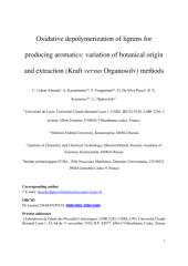 Vignette du fichier
