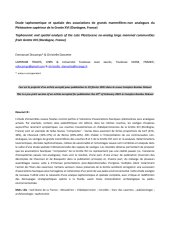 Vignette du fichier