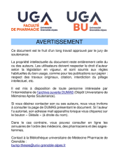 Vignette du fichier