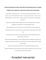 Vignette du fichier