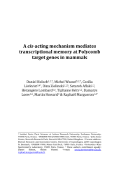 Vignette du fichier