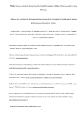 Vignette du fichier
