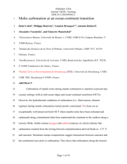 Vignette du fichier