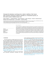 Vignette du fichier