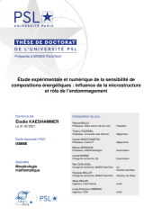 Vignette du fichier